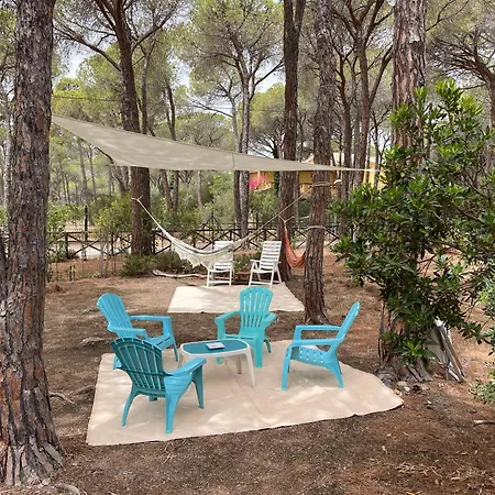 Alba Hébergement de vacances *